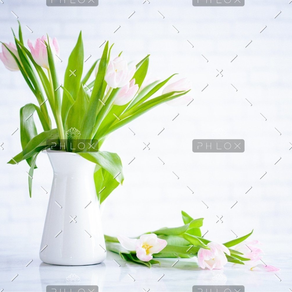 demo-attachment-783-brooke-lark-210780@2x